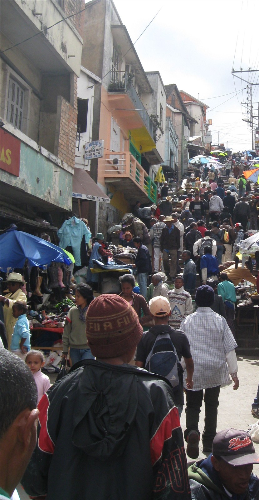 Mada 2008 6